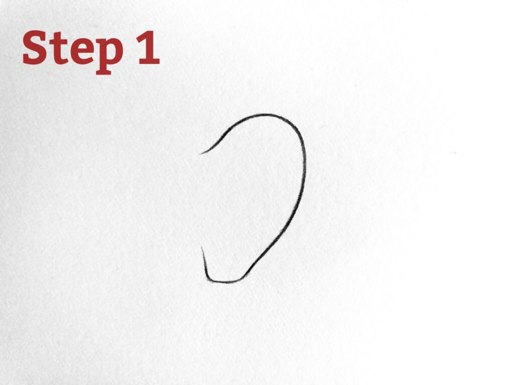 How to Draw Ear step by step