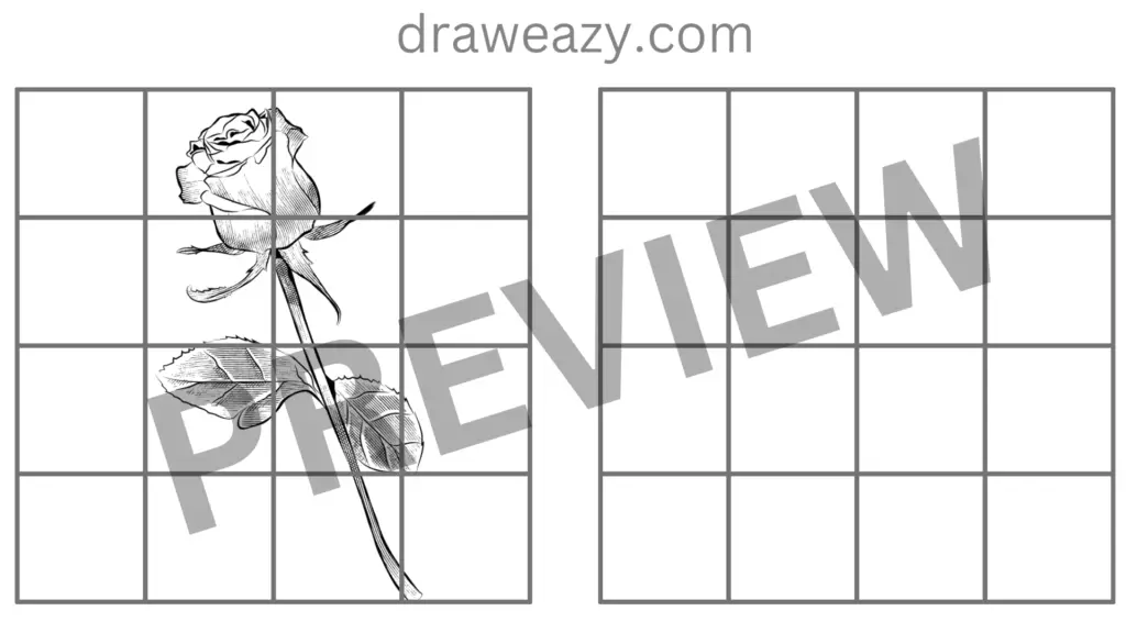How to draw a Rose Flower Drawing Free Worksheet