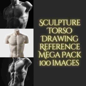 Reference Jpg 100 High Quality Reference Images For Drawing Practice | Reference ...