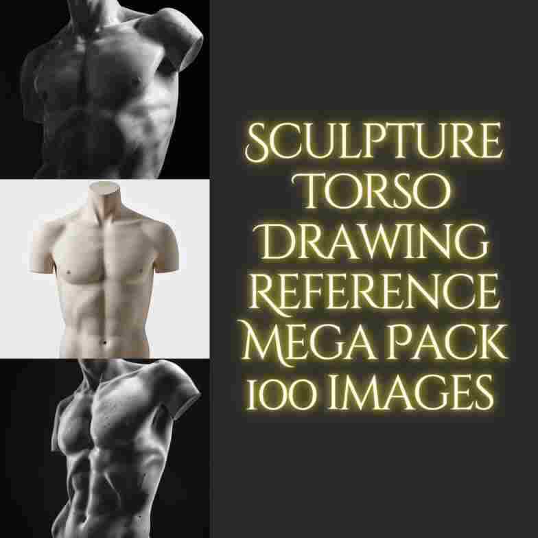 Sculpture Torso Drawing Reference Images
