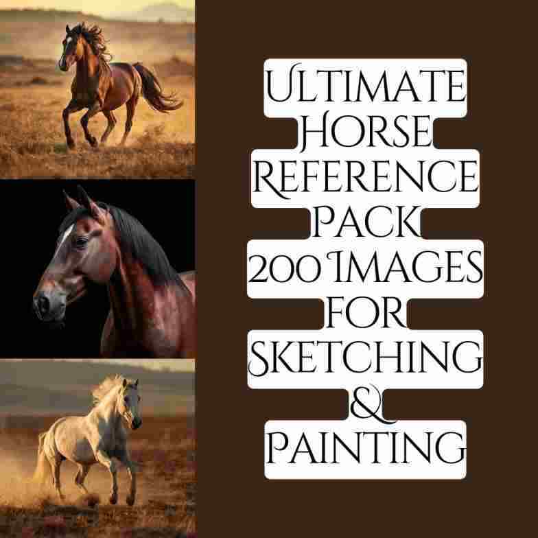 Horse Reference Pack Images For Sketching & Painting